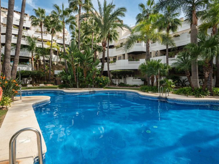 Fuente Aloha photo 33