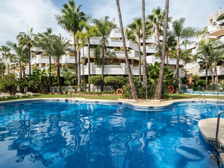 Fuente Aloha photo 30