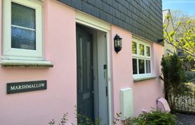 Marshmallow House reviews