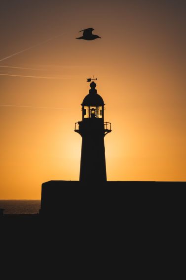 Lighthouse View photo 68