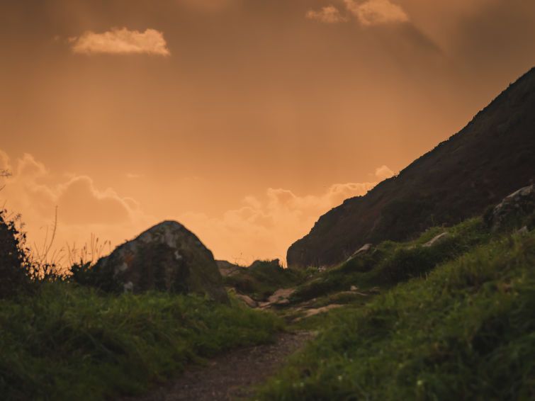Hillside photo 61