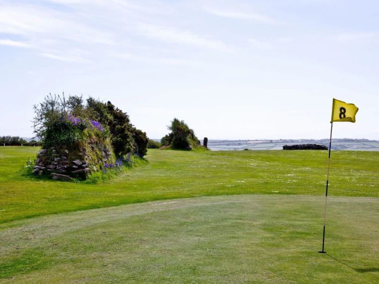 Wheal Amelia photo 14