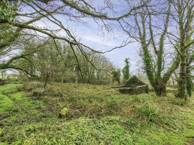 Wheal Amelia photo 26