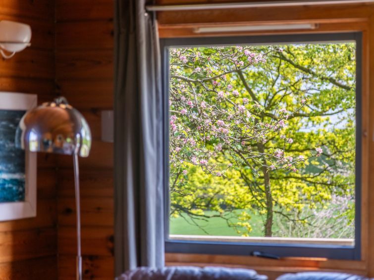 Chestnut Hot Tub Lodge photo 27