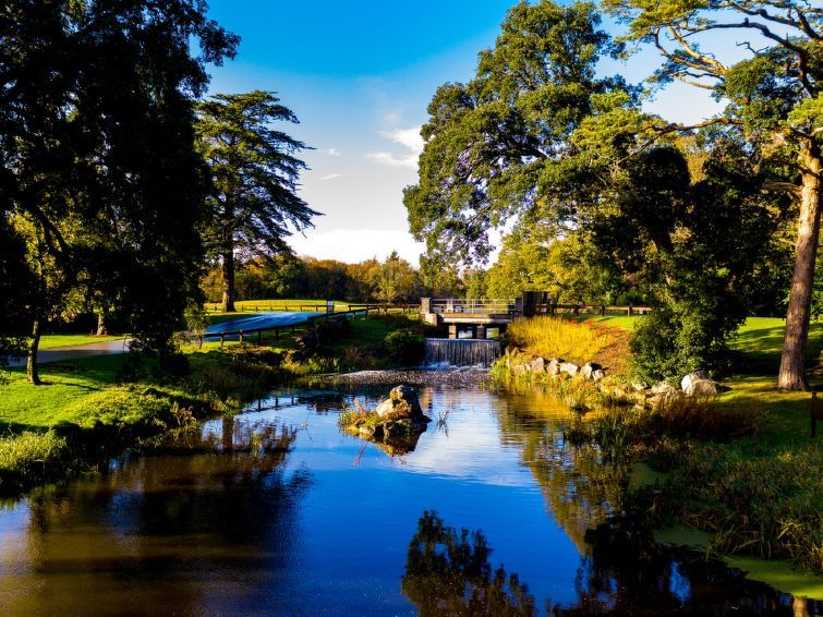 Castlemartyr Holiday Lodge photo 27