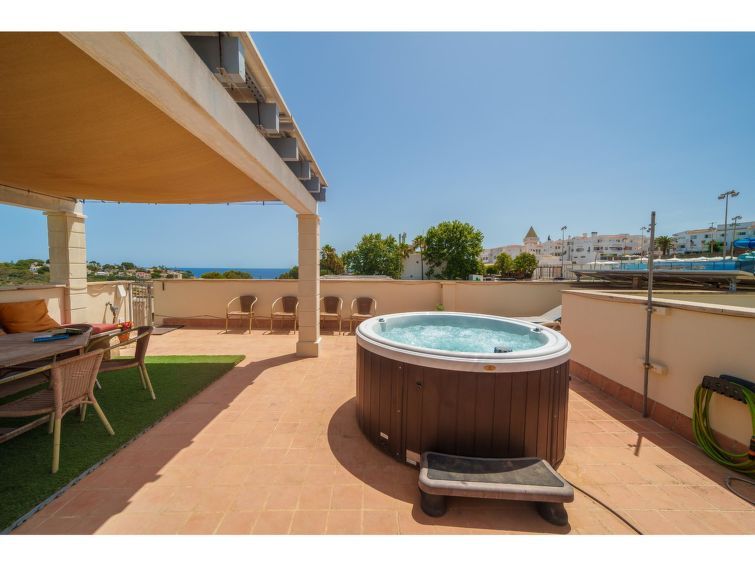 Penthouse Las Palmeras photo 18