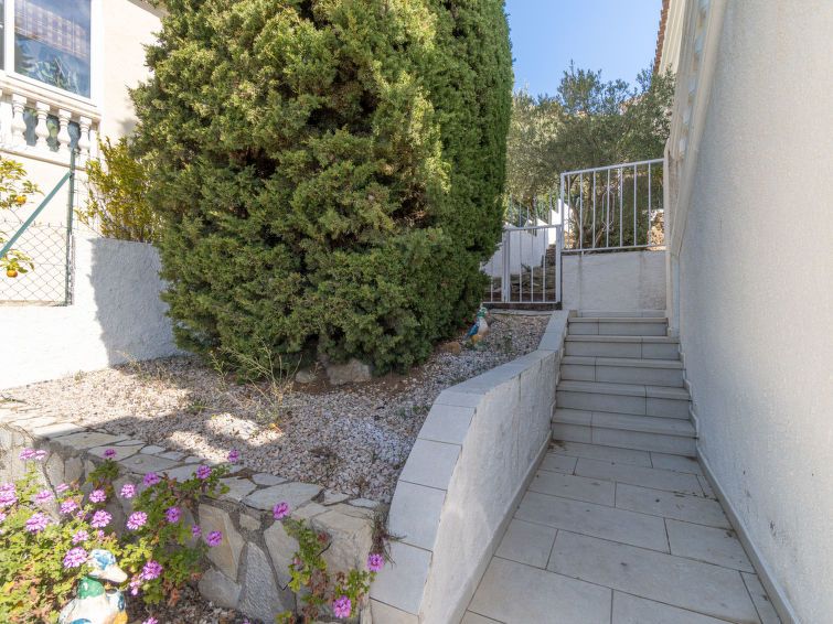 Panorama photo 49