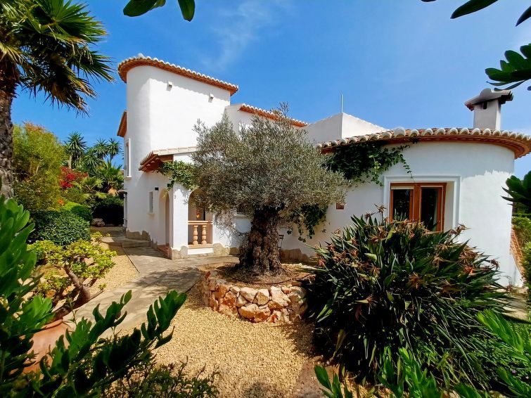 Villa Lantana photo 12