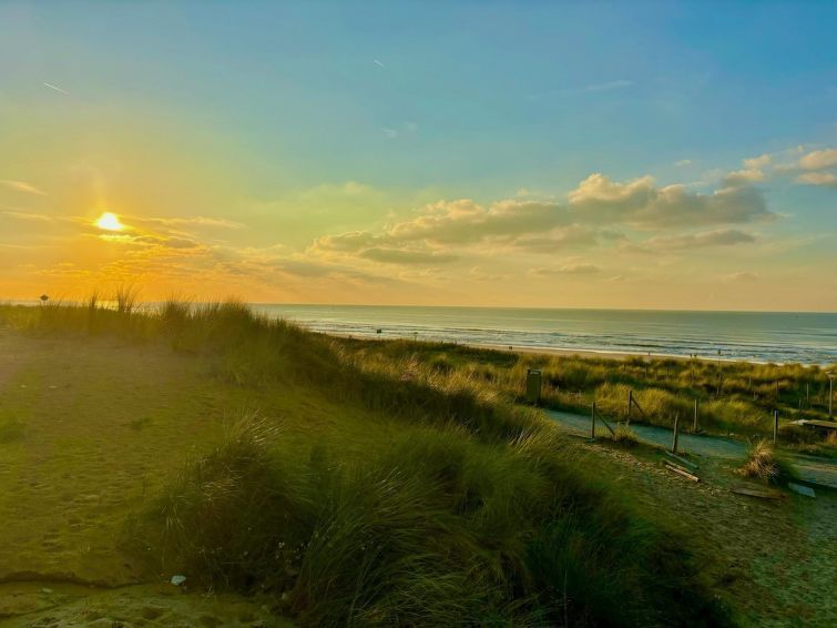 Horizon, Sea & Sun photo 5