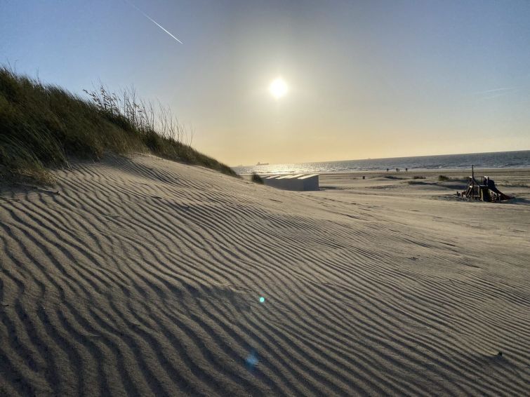Seascape Wellness Nieuwvliet-Bad photo 5