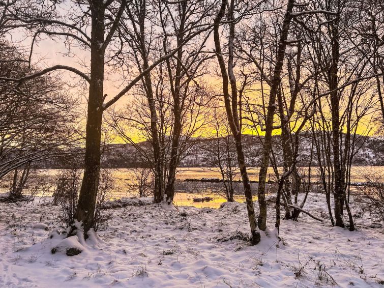The Romantic Bothy photo 25