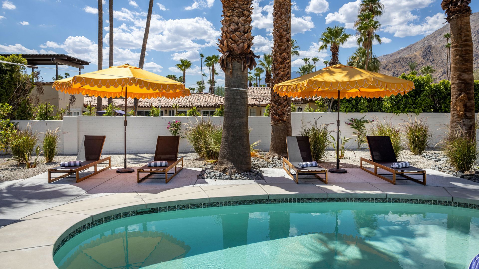 Palms Whisper photo 8