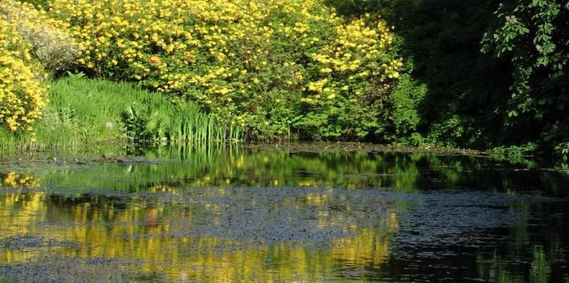 Glenapp Castle photo