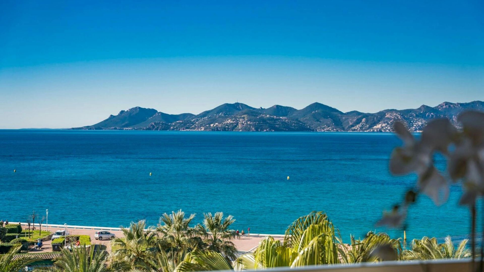 French Riviera Retreat photo 6