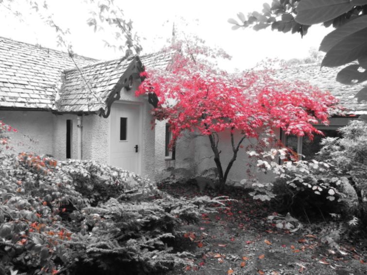 Dhivach Lodge photo 18