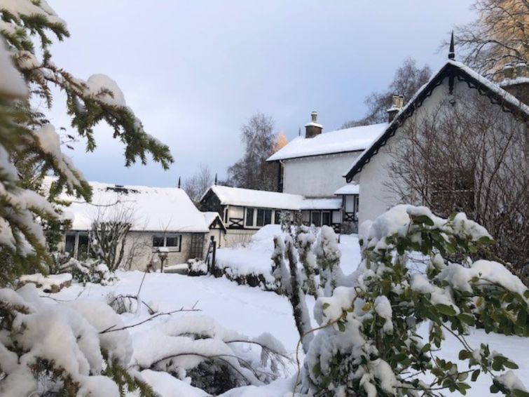 Dhivach Lodge photo 16