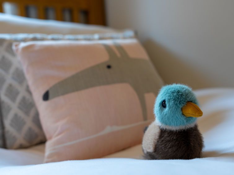 Mallard photo 20