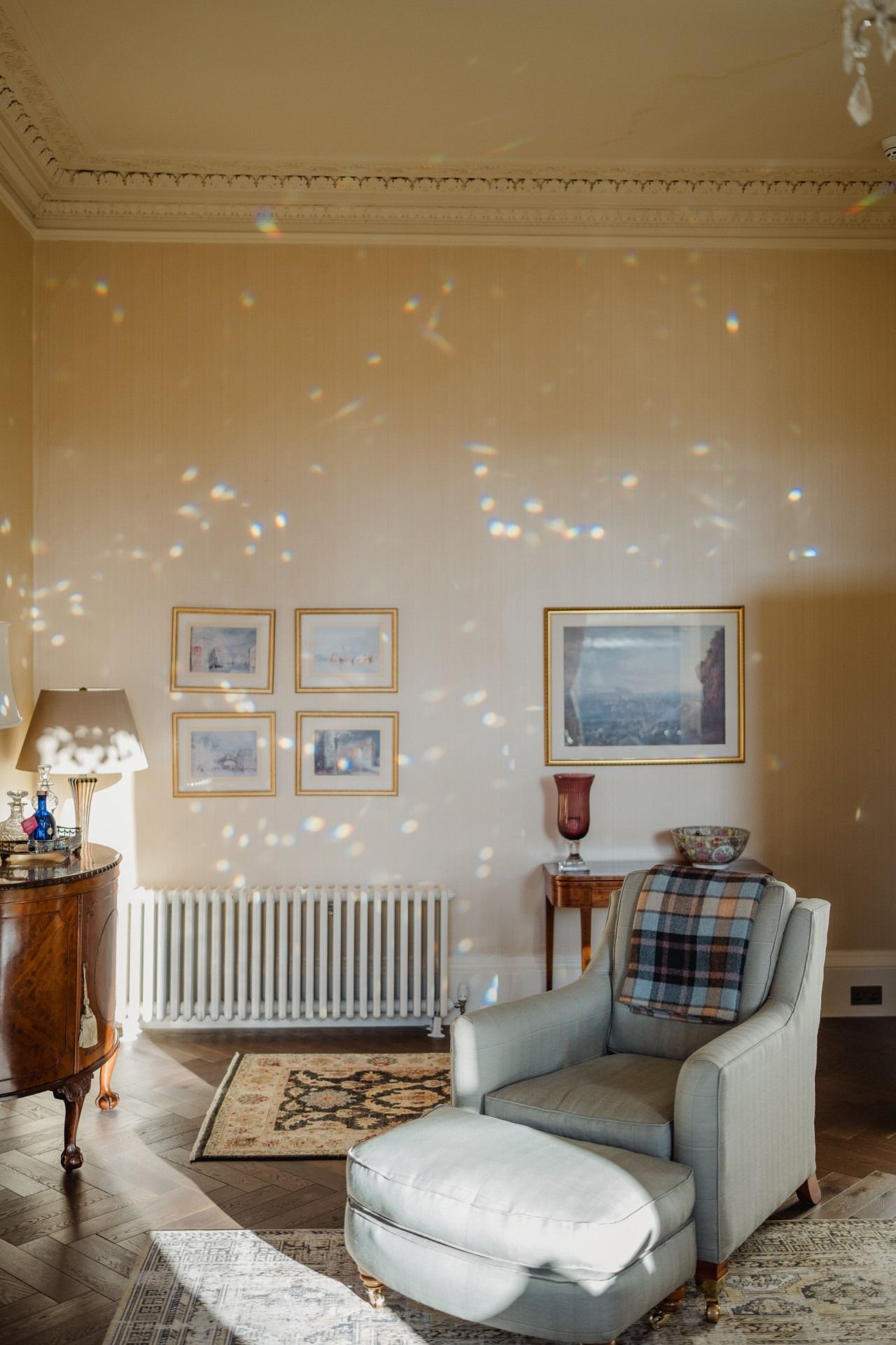 Scottish Elegance photo 6