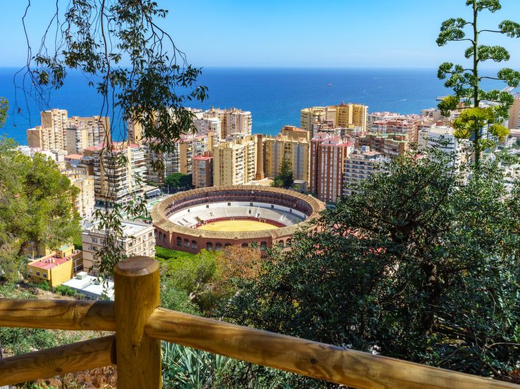 Malaga Pacifico photo 29