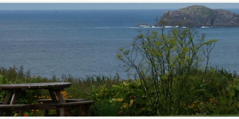 Gormans Clifftop House photo
