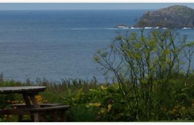 Gormans Clifftop House reviews