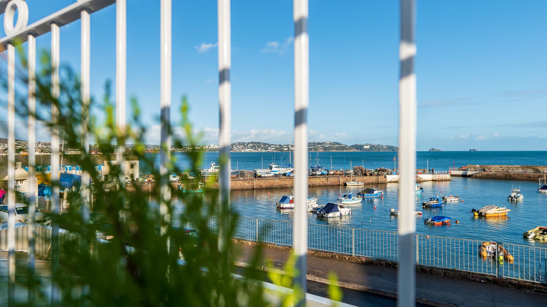 Quayside View - Directly on Paignton Harbour photo 2