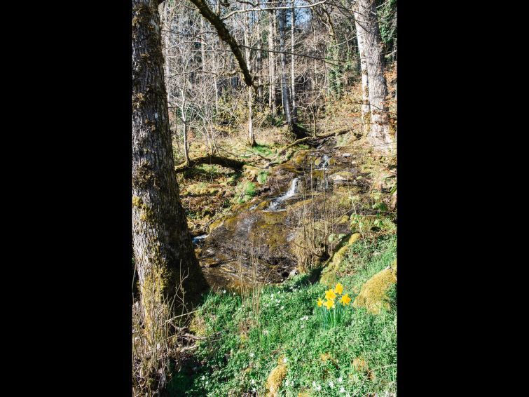 Farmburn Bothy photo 37