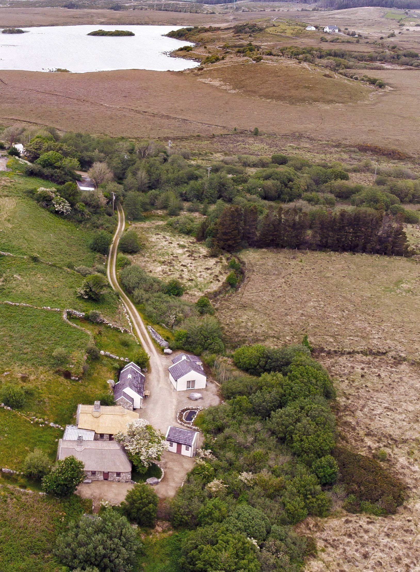 Historical Thatch Cottage photo 7