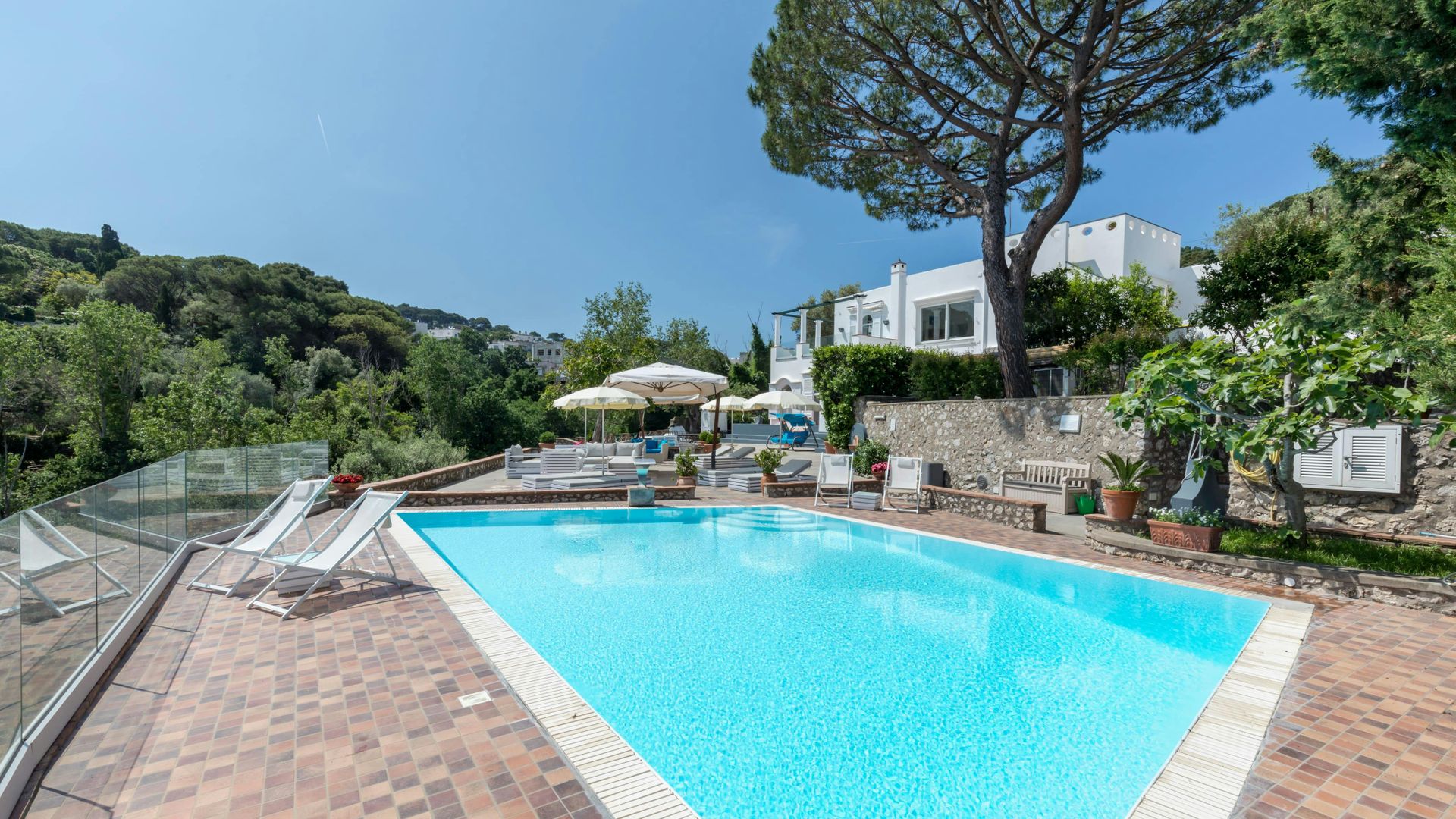 Dolce Capri photo 3