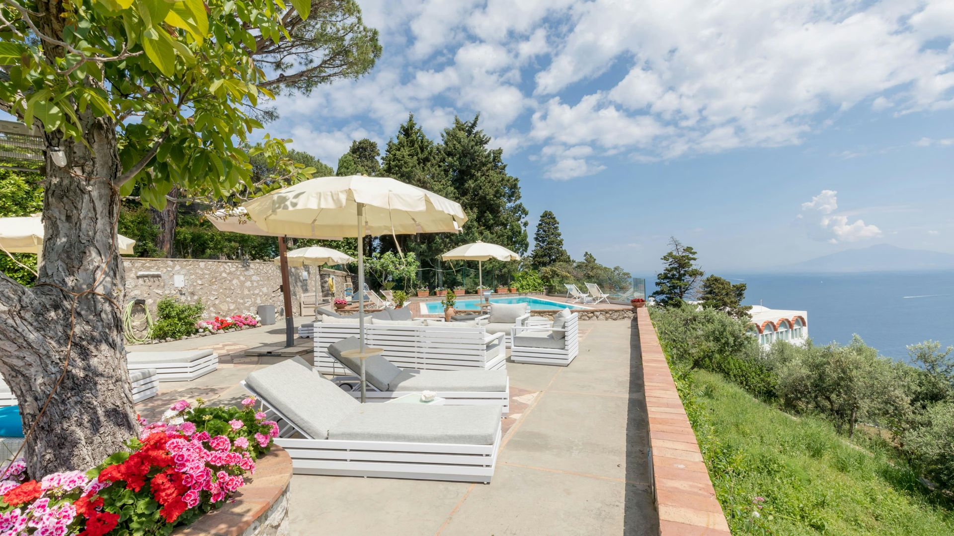 Dolce Capri photo 2