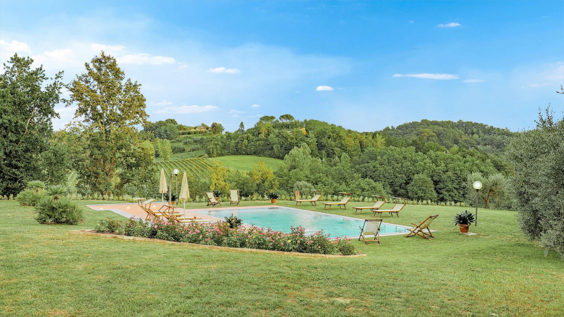 Olive Grove Hills photo 3