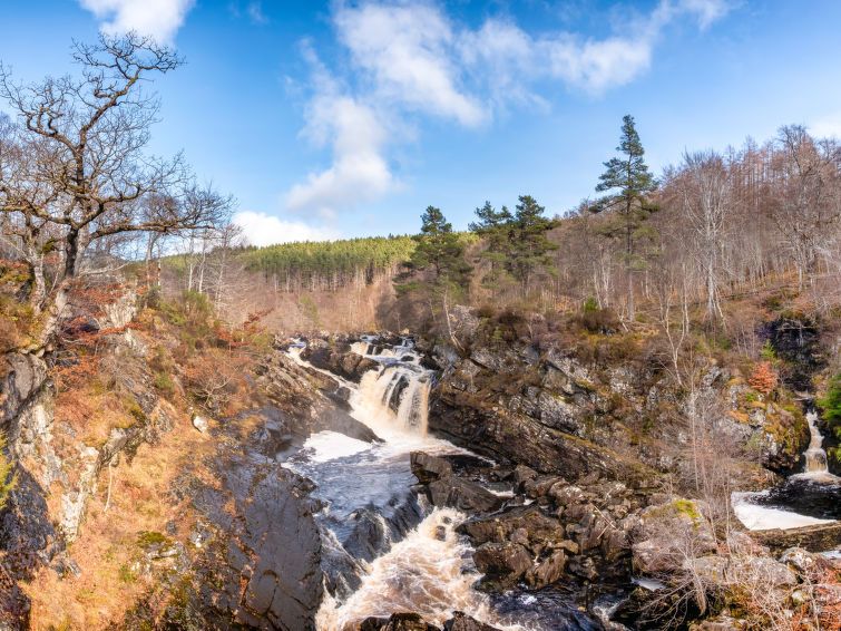 Loch View photo 56