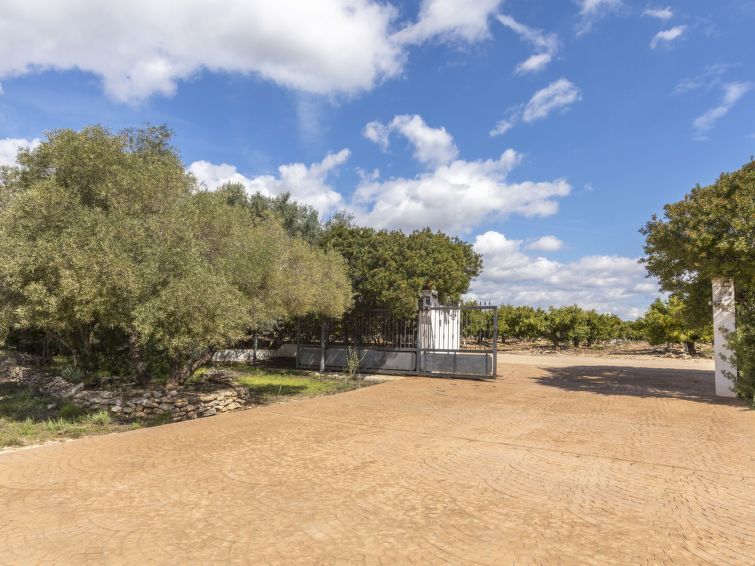 Hacienda Azahar photo 39