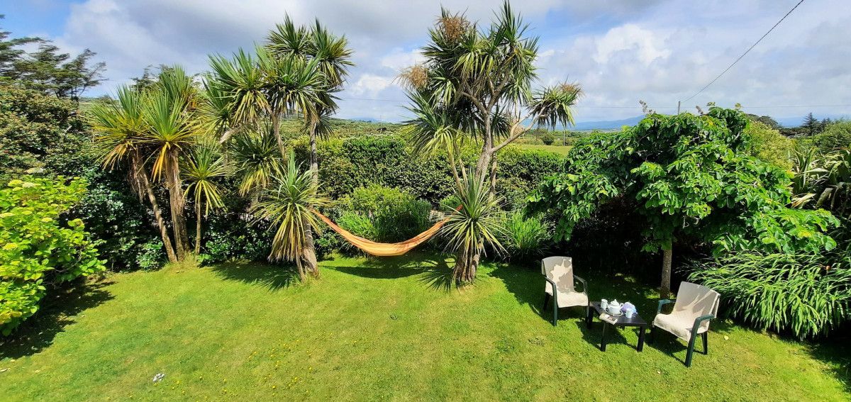 Ballyhearny Cottage photo 15