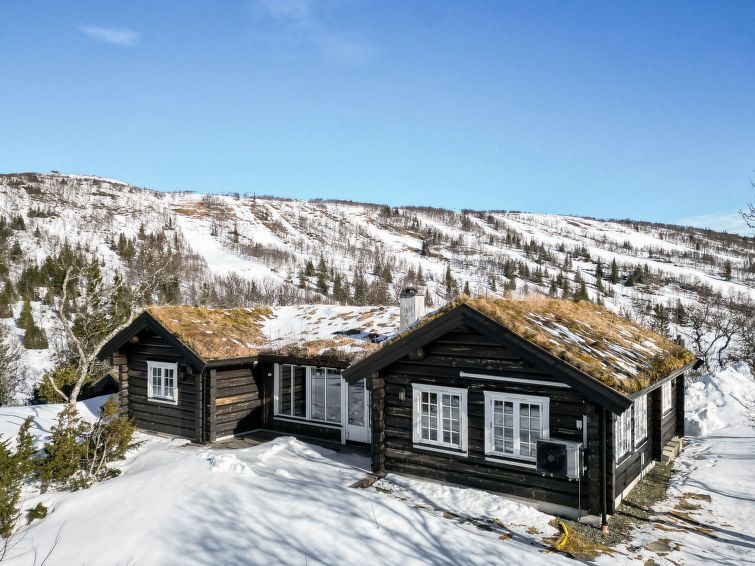 Fjälldrömmen photo 1
