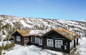 Fjälldrömmen reviews