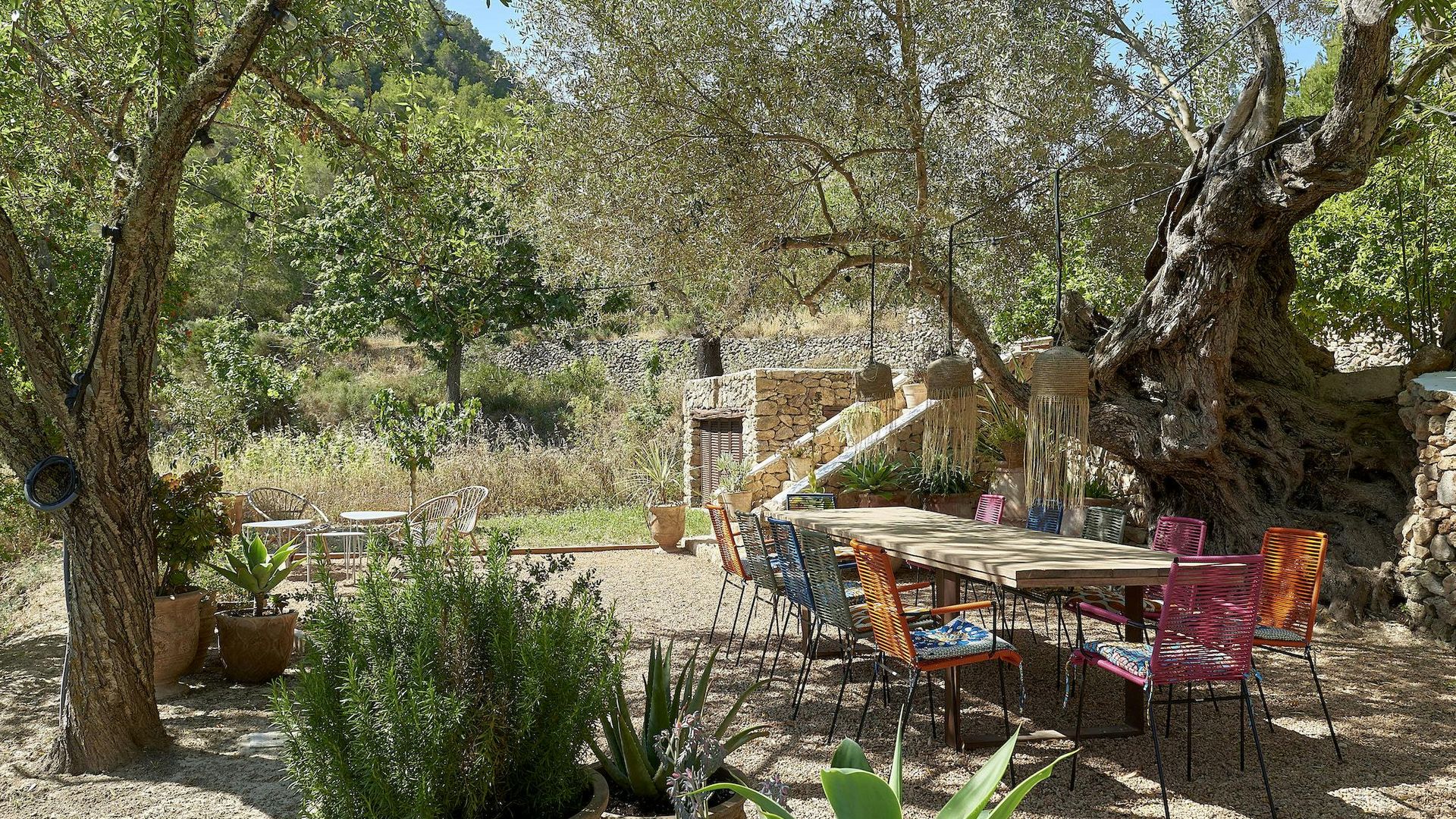 Finca Lavanda photo 6