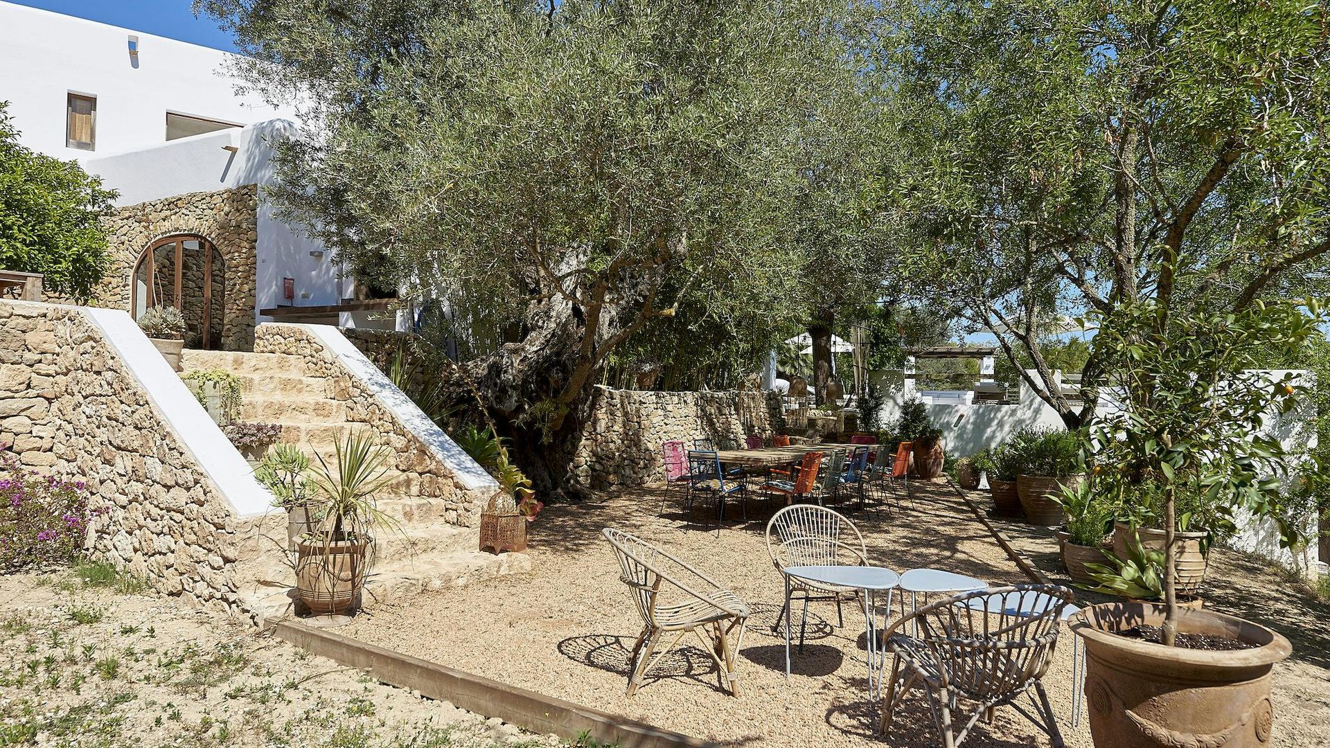 Finca Lavanda photo 7