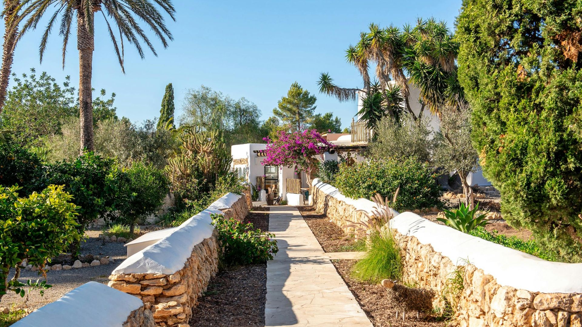 Finca Dayanara photo 8