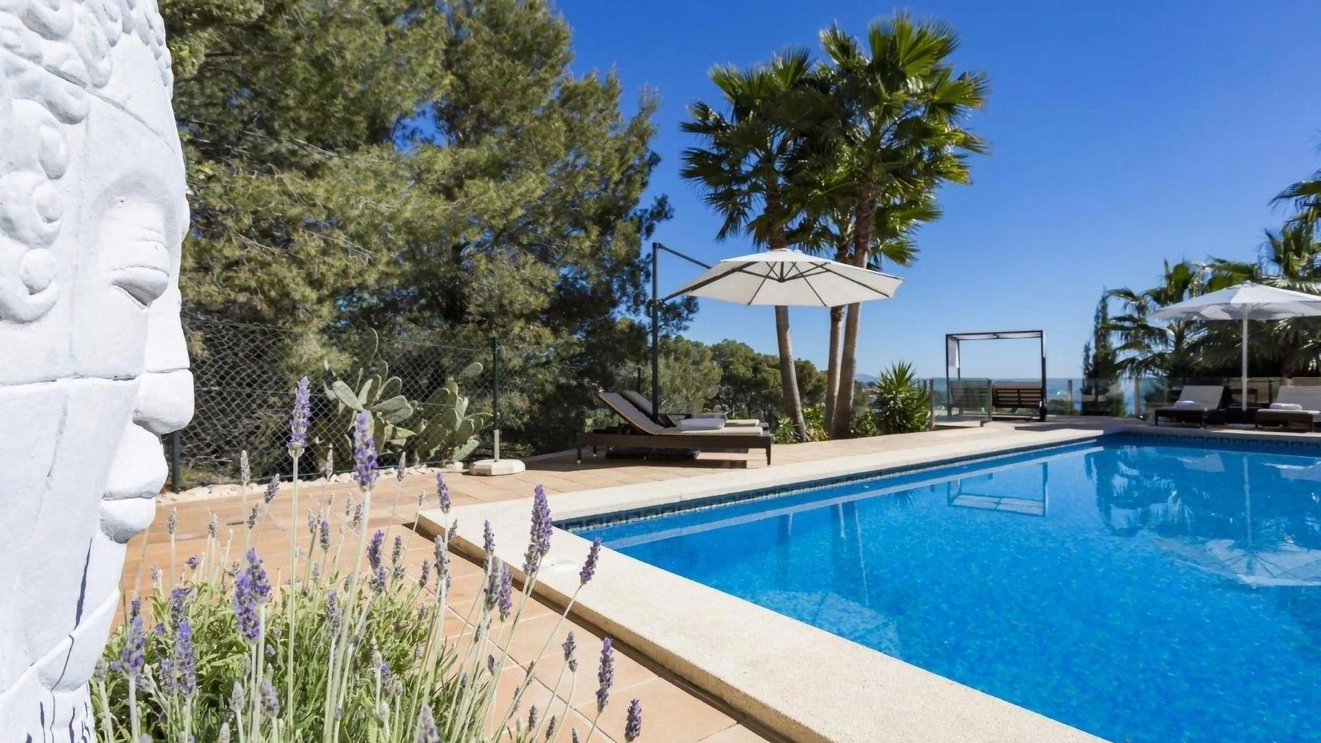 Villa Petunia photo 2