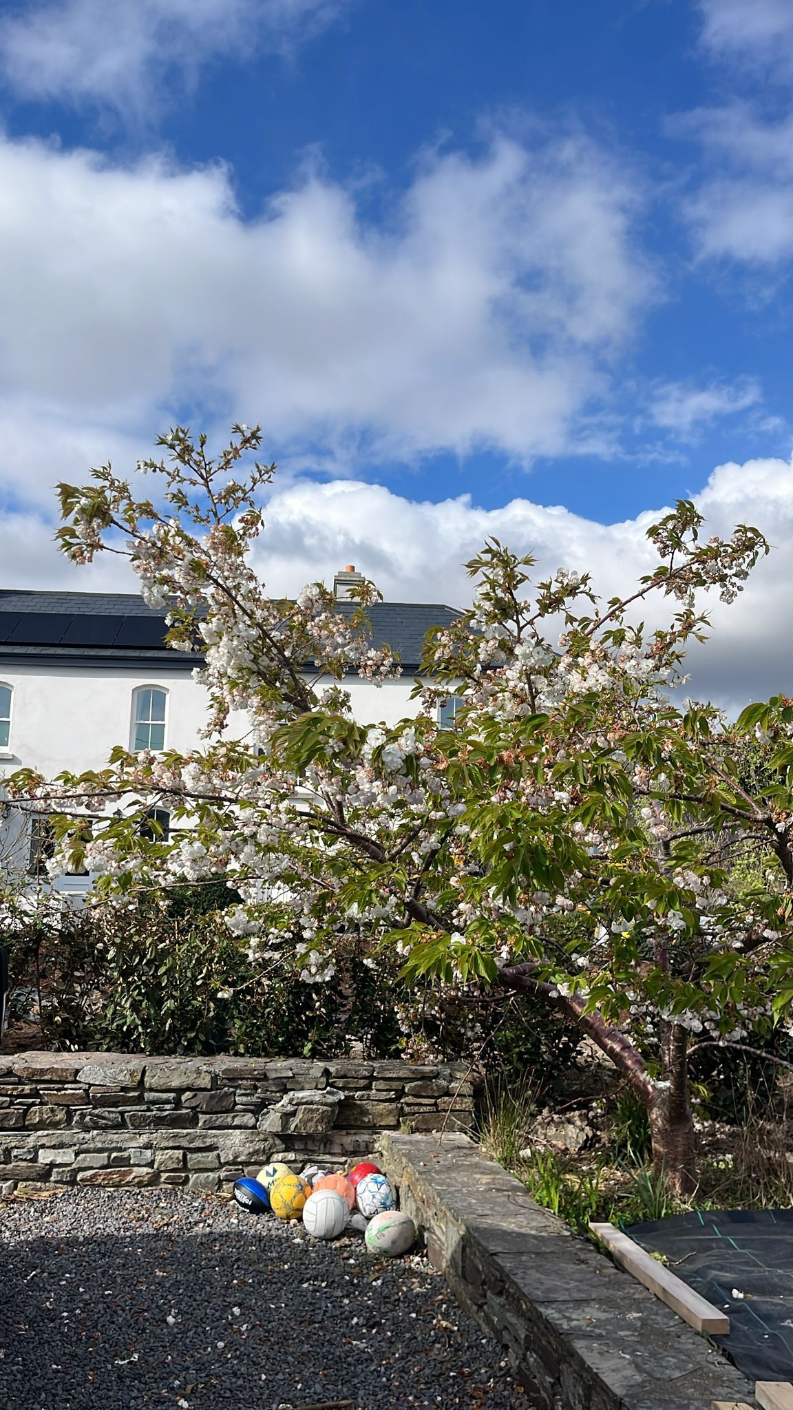 Grove House Schull photo 28