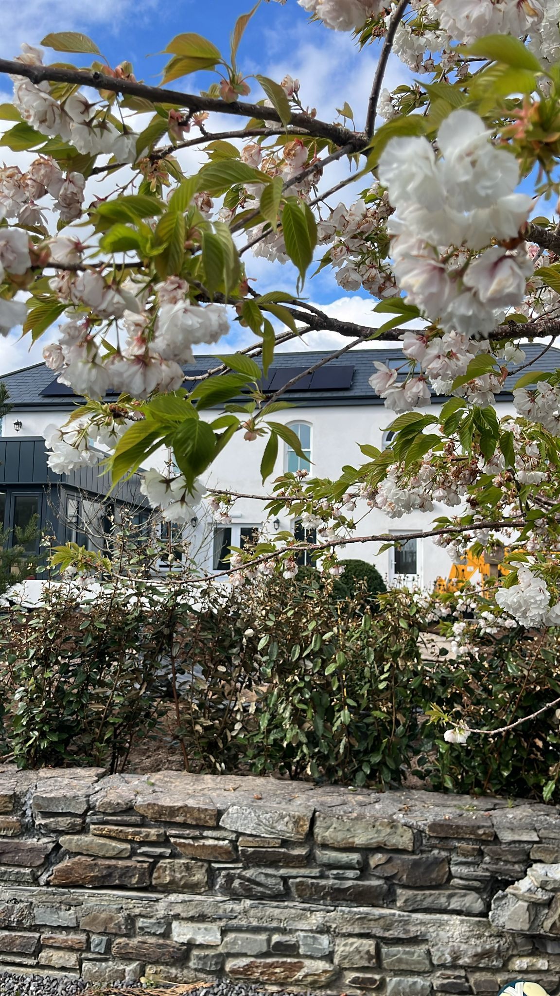 Grove House Schull photo 27