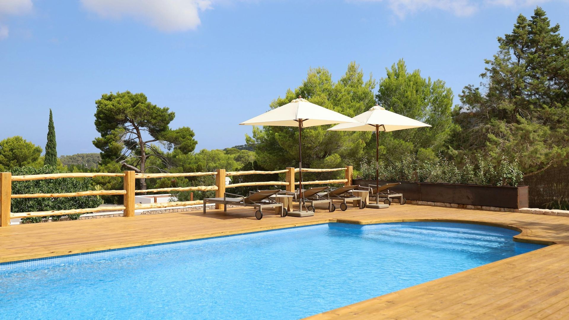 Casa Fresca photo 4