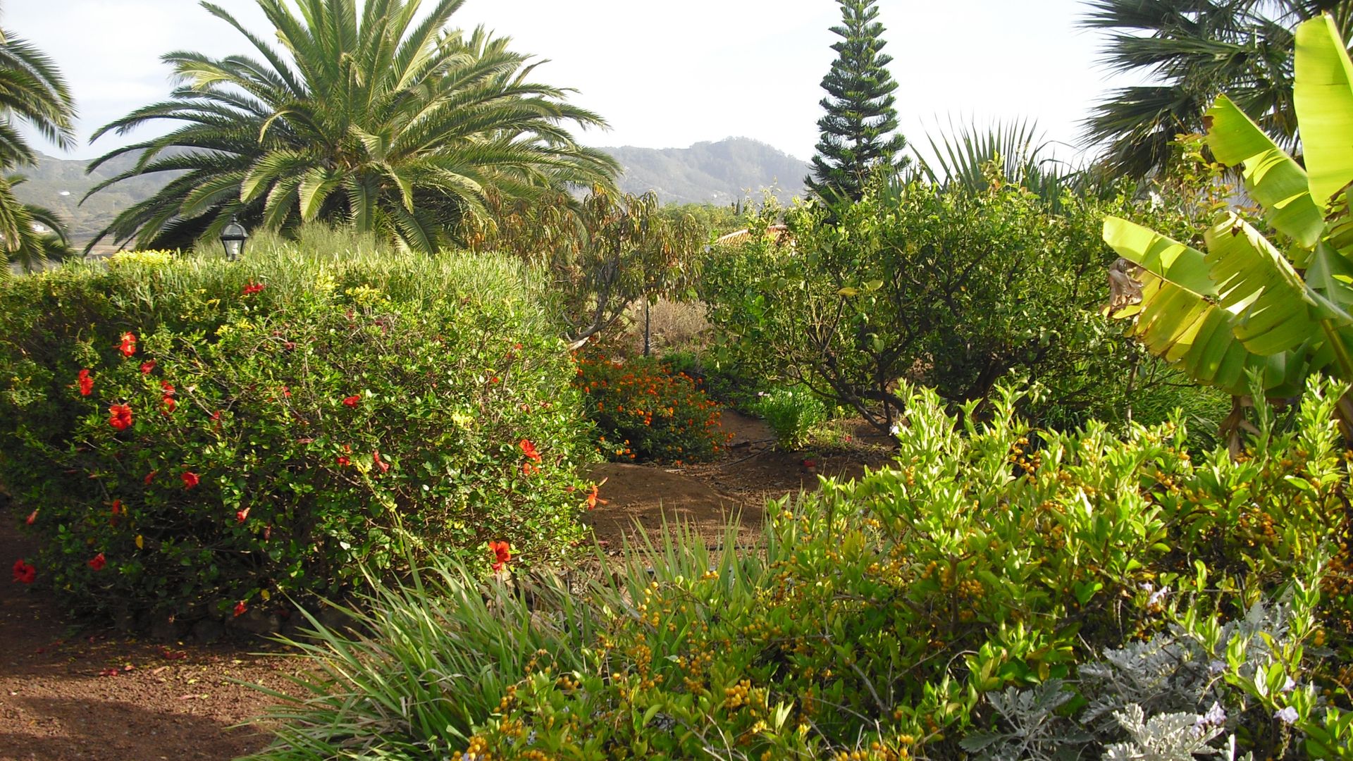 Picacho C photo 3