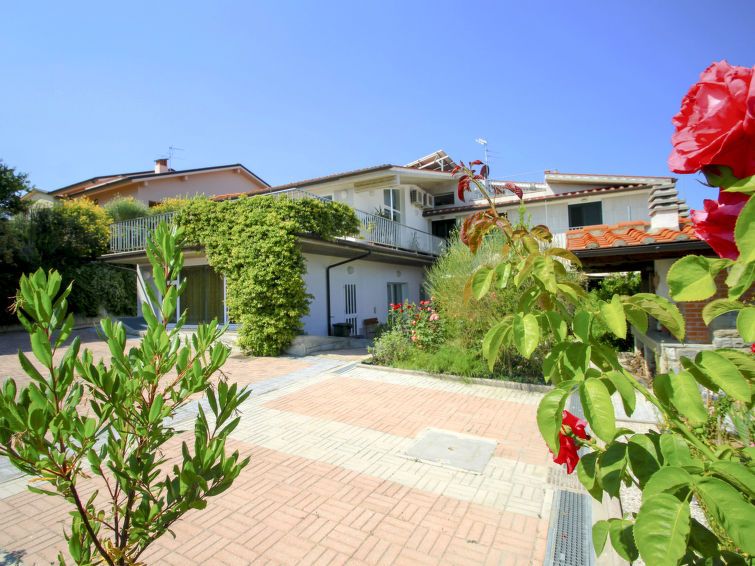 La Rosa photo 2