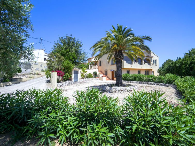 Berdica photo 38