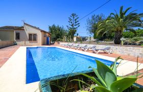 Berdica reviews
