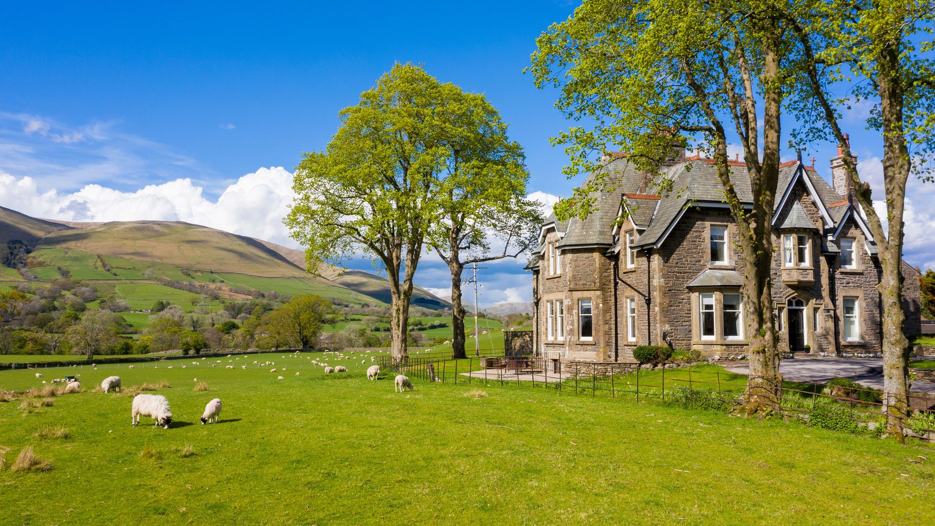 The Fell View photo 4