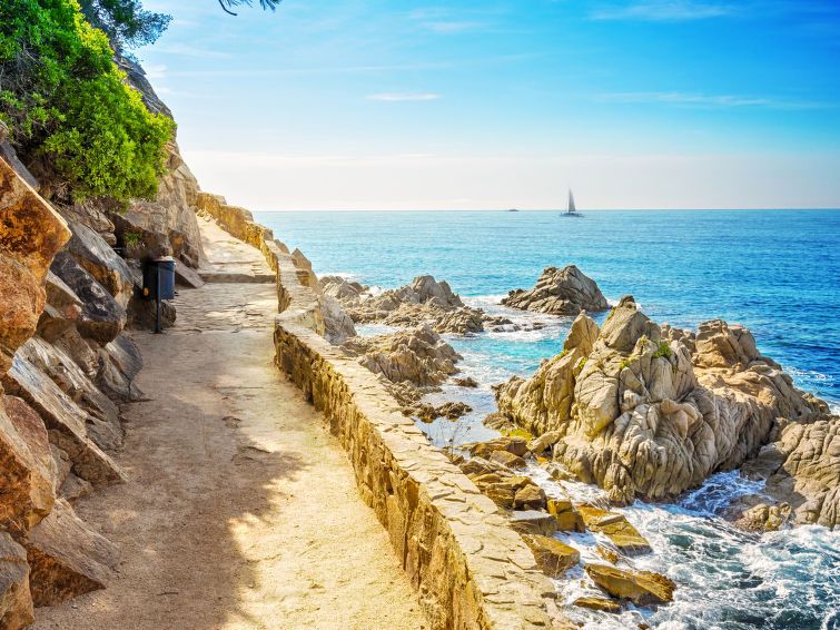 Costabella photo 23