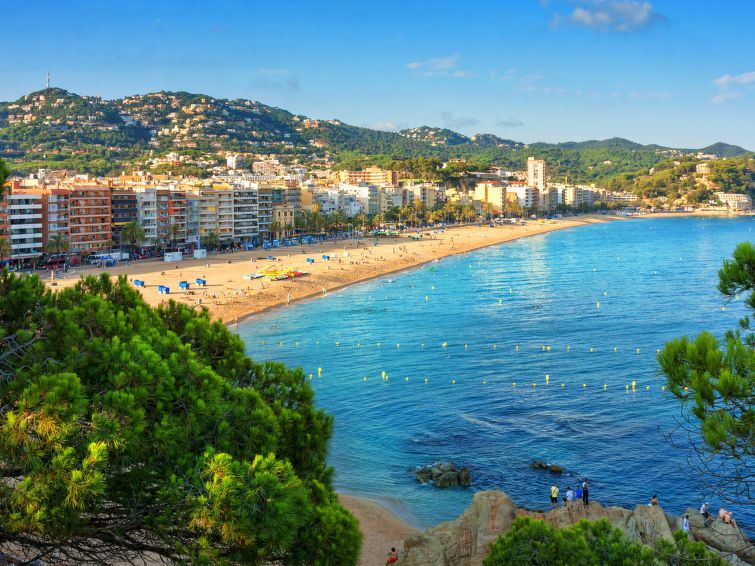Costabella photo 19